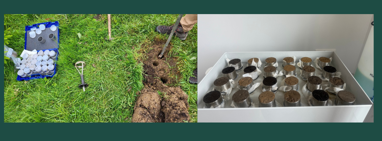 Fieldwork insights from the Puck Bay Use-case featured image
