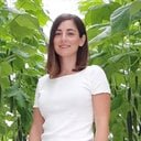 Dr. Anna Selini Petropoulou 