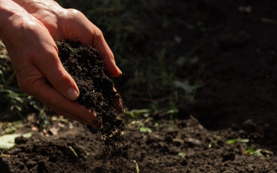 SOILPROM, a brick to support the new Soil Monitoring Law