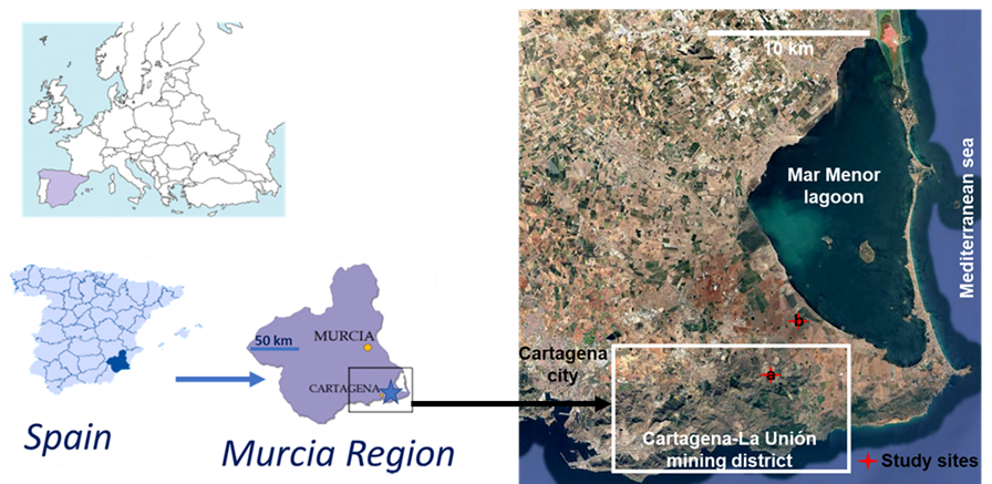 Fieldwork insights from the Spanish use-case