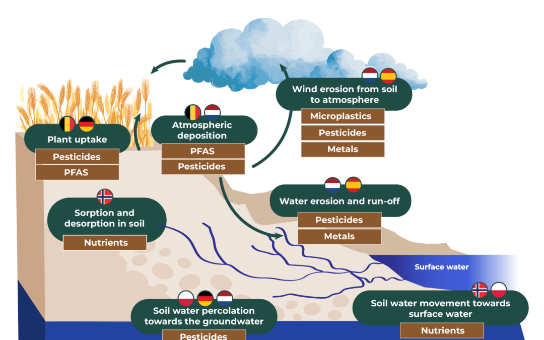SOILPROM featured in the Autumn 2026 issue of EU Research